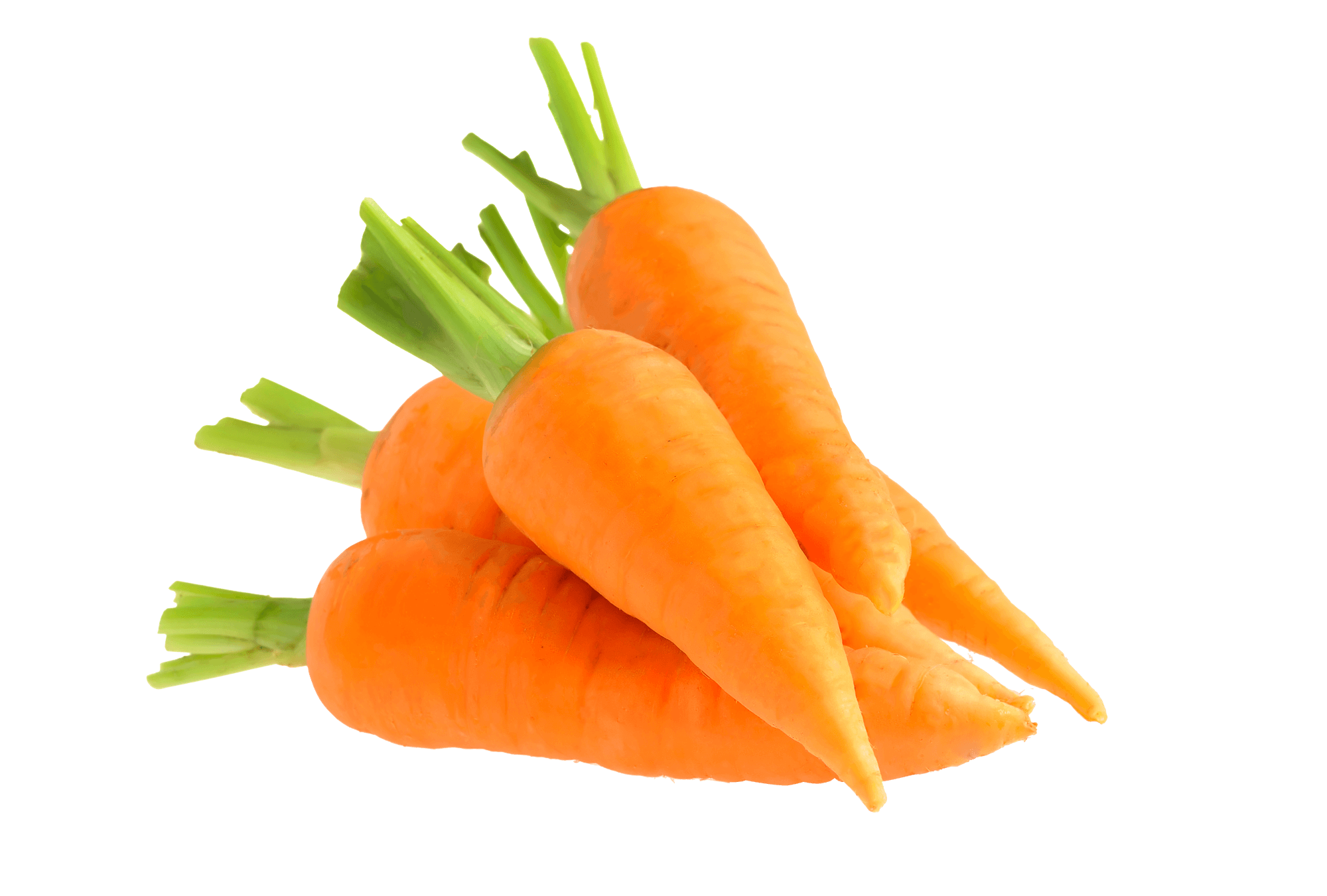 carrot.png