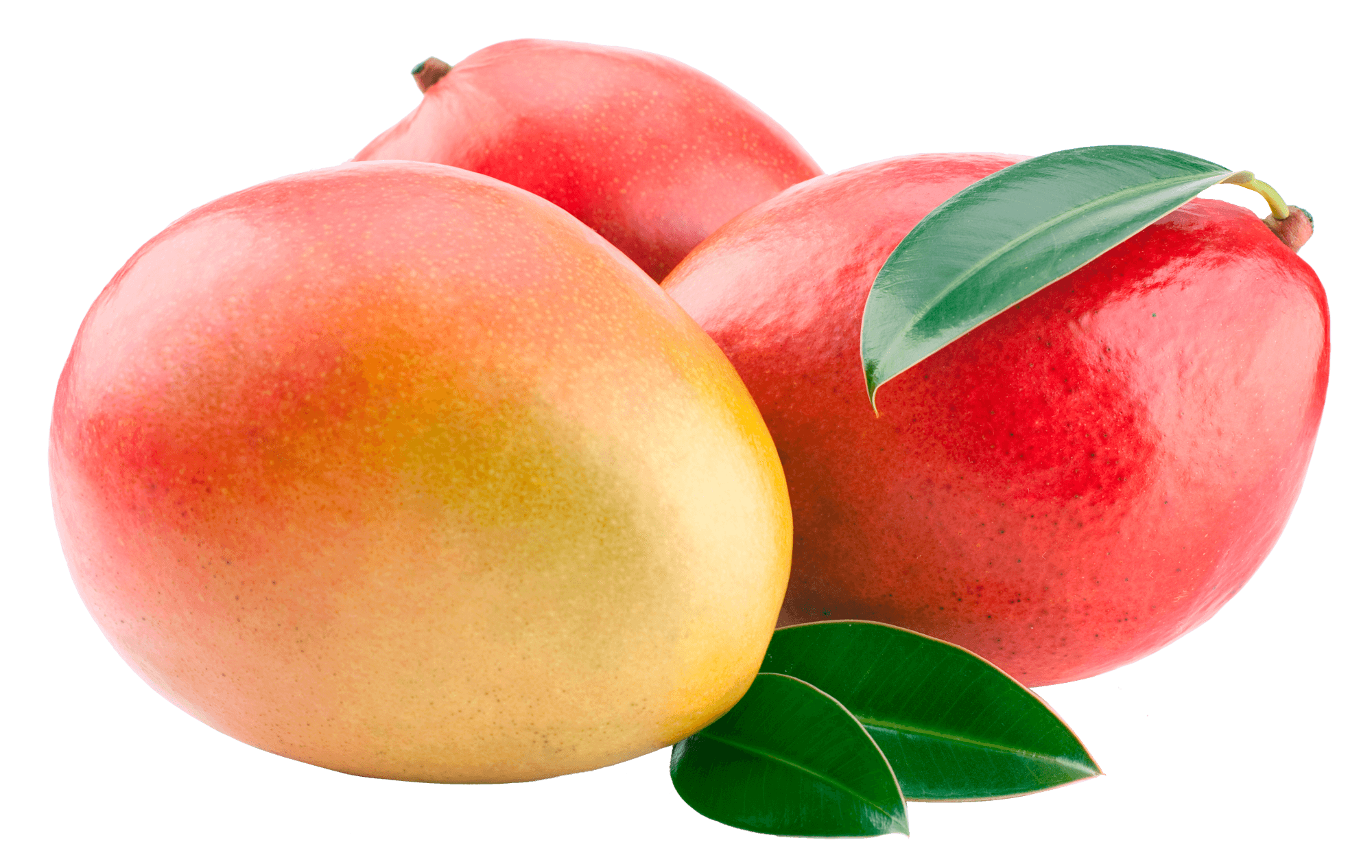 dreamstime_19703834_mango.png